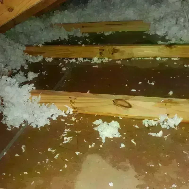 Attic Water Damage in Ravenna, MI