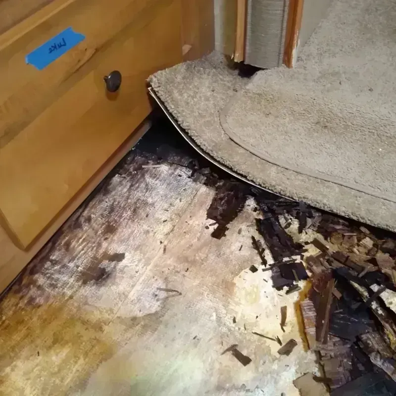 Wood Floor Water Damage in Ravenna, MI